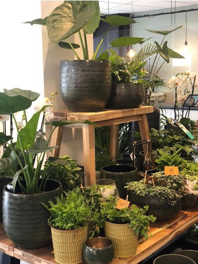 Bloemen Van Blok, Bloemist In Nunspeet, Bloemist in Nunspeet