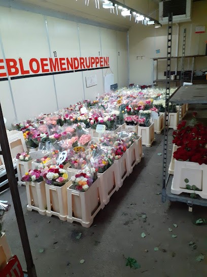 Firma T.A. Reijm en Zn., Bloemist in Nieuwerkerk aan den IJssel