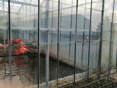 Kwekerij Zeurniet, Bloemist in Honselersdijk