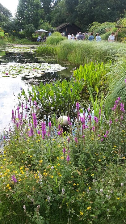 Atelier Het Seizoen, Bloemist in Sellingen