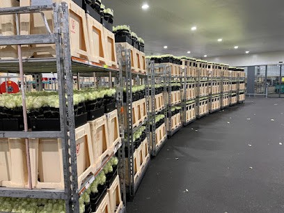 Uitvaart Bloemist Almere, Bloemist in Almere