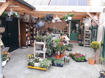 Jasmijn Bloemen En Planten, Bloemist in Ooltgensplaat