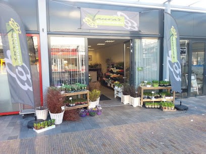 Laura's Bloemen, Bloemist in Utrecht
