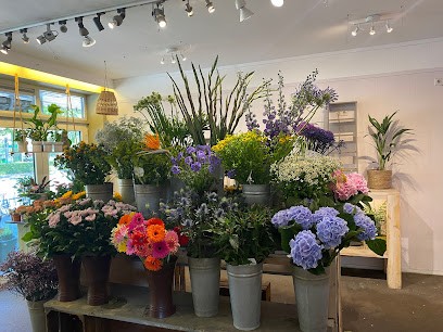 Bloembinderij De Vernieuwing, Bloemist in Utrecht