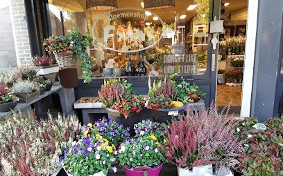 Frans Bloemen en Kadoshop, Bloemist in Hurdegaryp