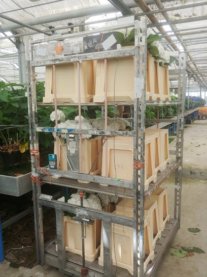 Kwekerij Nooitgedacht B.V., Bloemist in Kudelstaart