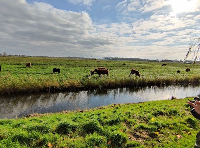 't Singeltje Trouw & Rouw & Workshop bloemist, Bloemist in Wervershoof