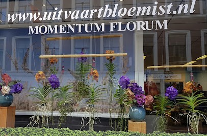 Uitvaartbloemist Momentum Florum B.V., Bloemist in Den Haag