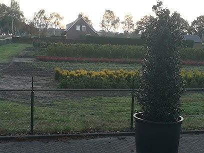 Jaspers Sierteelt B.V., Bloemist in Helmond