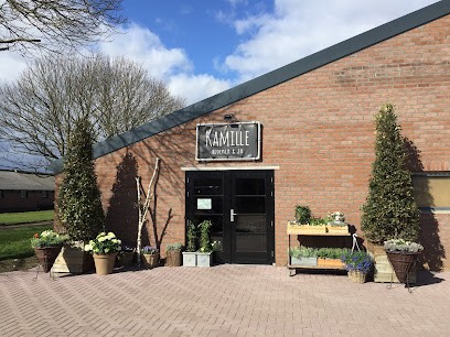 Kamille bloemen & zo, Bloemist in Wanssum
