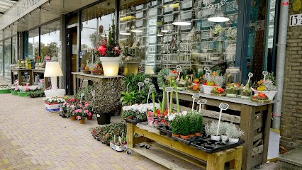 Bloemenhuis Lentefleur, Bloemist in Den Haag