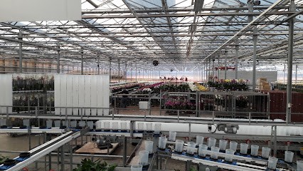 Fa. J.P. Könst en Zn., Bloemist in Amstelveen