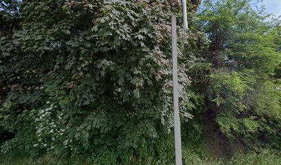 Jan Buurman Potplanten, Bloemist in Gendt