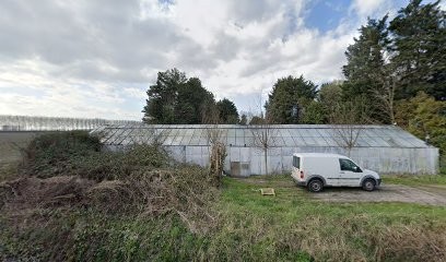 Bloemisterij De Groene Hand, Bloemist in Philippine