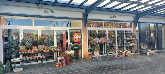 Leaf bloemen, Bloemist in Capelle aan den IJssel