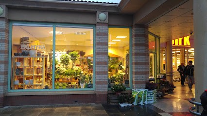 Bloemsierkunst Palmyra, Bloemist in Barendrecht