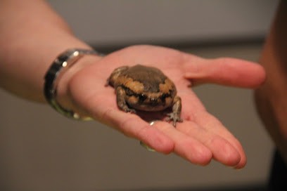 Bloemen En Planten Decoratie Joop En Ria Van Leeuwen, Bloemist in Kudelstaart