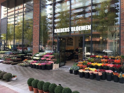 Kalders Bloemen, Bloemist in Delft