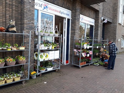 DFM Bloemen & Planten, Bloemist in Son