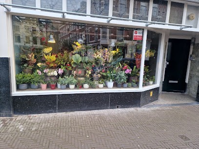 Bloemen shop, Bloemist in Den Haag