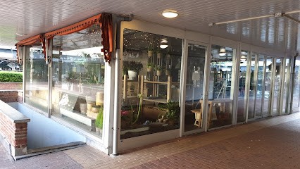 Bloemsierkunst Haasjes Zeist, Bloemist in Zeist