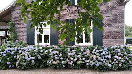 Buxus-Taxus Kwekerij Driessen-Jacobs, Bloemist in Maasbree