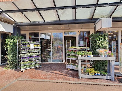 Bloemenhuis Molenhof, Bloemist in Almere