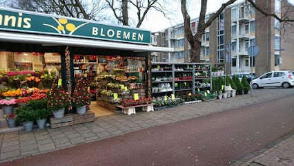 Dennis Bloemen, Bloemist in Den Haag