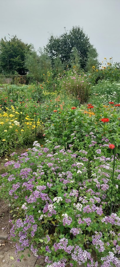 BloemenNoord, Bloemist in Breda