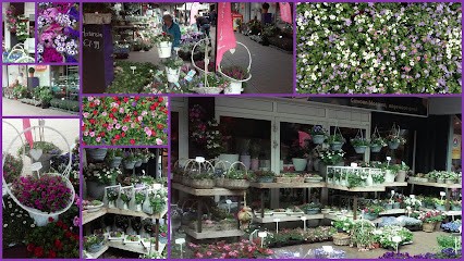 Flamingo Bellestein, Bloemist in Ede