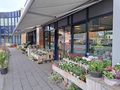 Reinerink Bloemen en Planten Tubbergen, Bloemist in Tubbergen