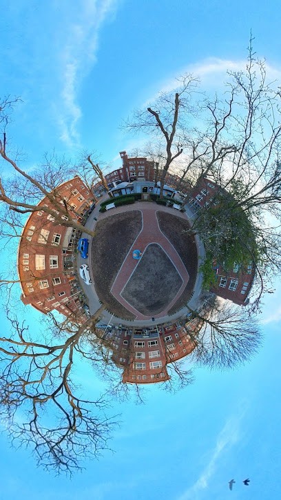 Bloemsierkunst Hoytema, Bloemist in Den Haag