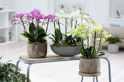 Fair Flora, Bloemist in Nieuwkoop