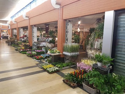 HMF Bloemenzee Reigerhof Nieuwerkerk ad IJssel, Bloemist in Nieuwerkerk aan den IJssel