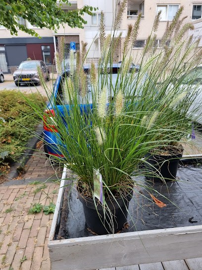 Bij Sjuuls Bloemen En Planten, Bloemist in Renkum