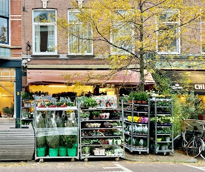 Morcus Planten & Bloemen, Bloemist in Den Haag