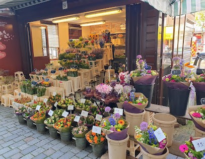 Bloemenkiosk De Fred, Bloemist in Den Haag