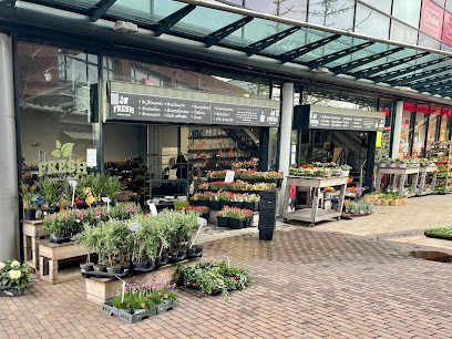 Fresh Flowers and Plants, Bloemist in Rijswijk
