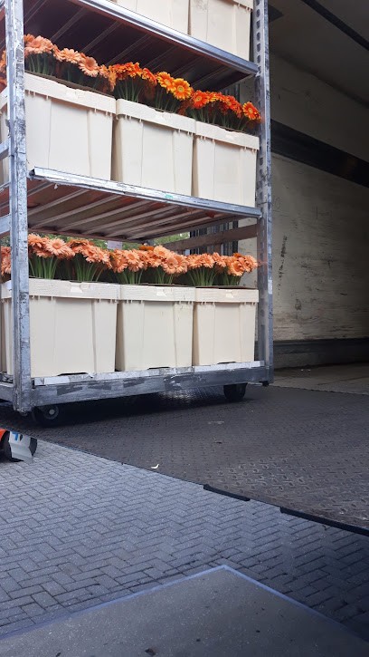 Kwekerij Gebr. Koolhaas B.V., Bloemist in Nieuwerkerk aan den IJssel