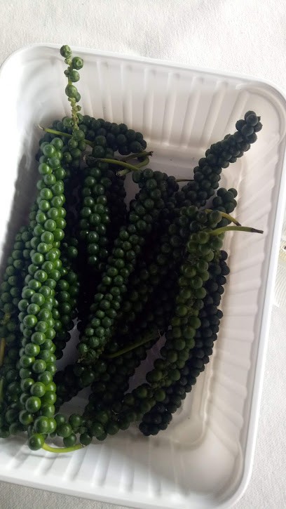 Kwekerij Sidaco B.V., Bloemist in Nootdorp