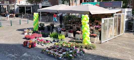 Bloemenkiosk patricia tuynman, Bloemist in Den Haag