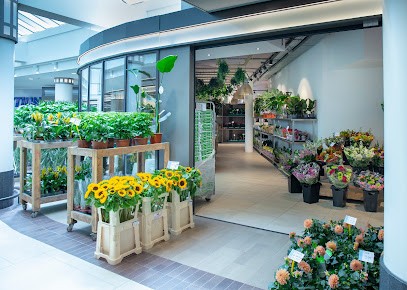 Beautiful Flowershop, Bloemist in Rotterdam