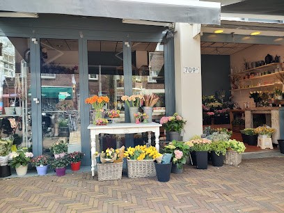 Hansje Pluk, Bloemist in Den Haag