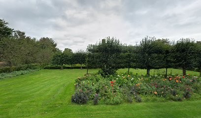 Mulder Tulips, Bloemist in Rutten