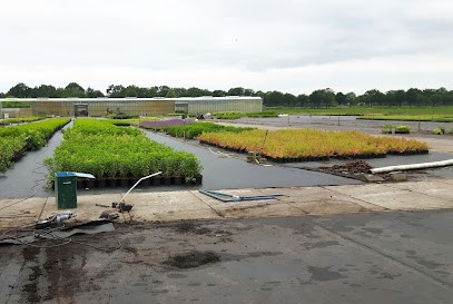 Kwekerij De Woerthe B.V., Bloemist in Havelte