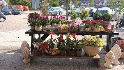 Booming Blooming, Bloemist in Monnickendam