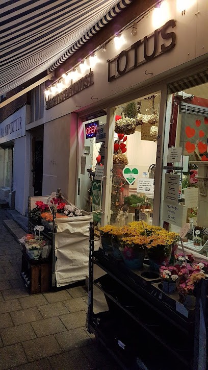 Bloemsierkunst De Lotus, Bloemist in Rotterdam