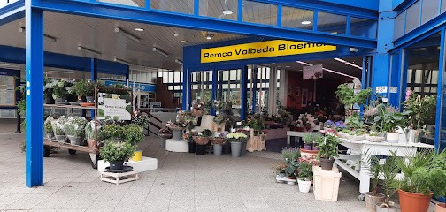 Remco Volbeda Bloemenkiosk NS Station Heerenveen, Bloemist in Heerenveen