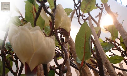 Van Gurp Flowers in Breda, Bloemist in Breda