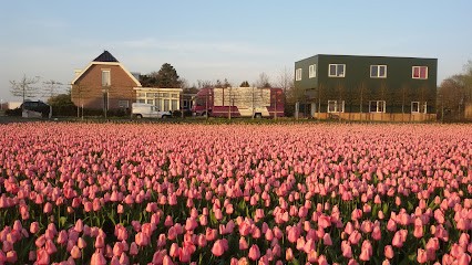 J.W.M. van Saase Bloemen Export, Bloemist in De Zilk